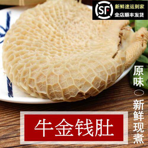 熟金钱肚 蜂窝牛肚500g熟牛肚新鲜现煮放养黄牛肚小肚 另有牛百叶