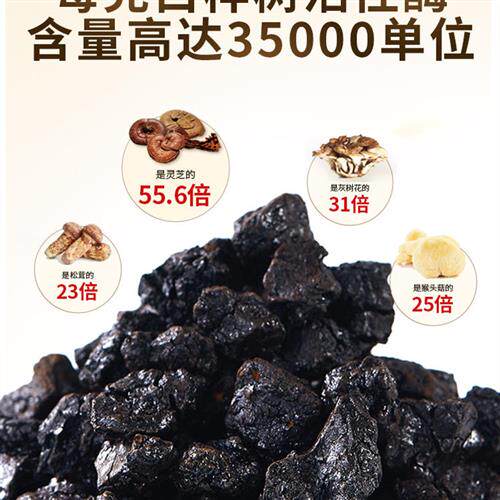 俄罗斯桦树茸 正品 野生桦树茸进口 黑金精粉 白桦茸 华褐孔菌茶