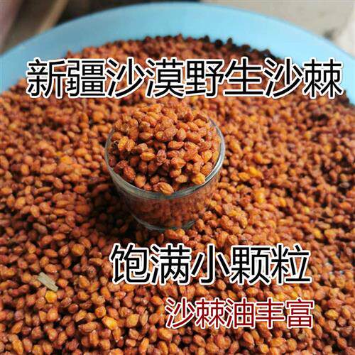 新疆沙漠沙棘果干果天然特产泡茶500g自然风干可打粉