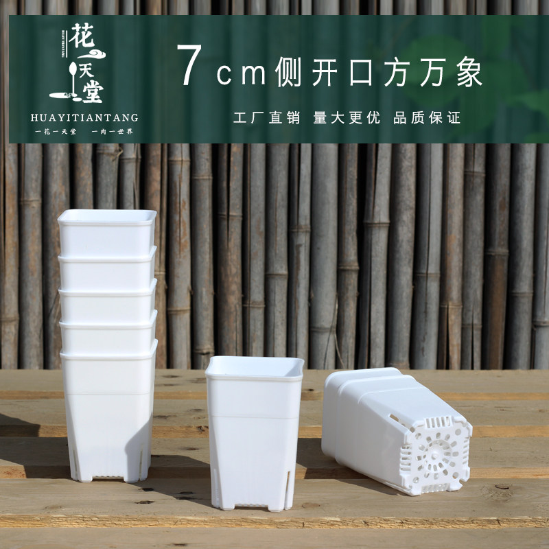 多肉万象盆日式侧开口高透气方口盆塑料花盆十二卷玉露景天小桩盆