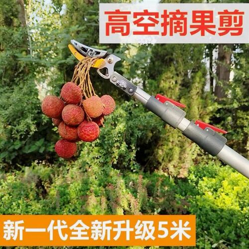 德国进口日本摘香椿槐花高空高枝剪不锈钢修枝剪刀果枝摘水果摘枇