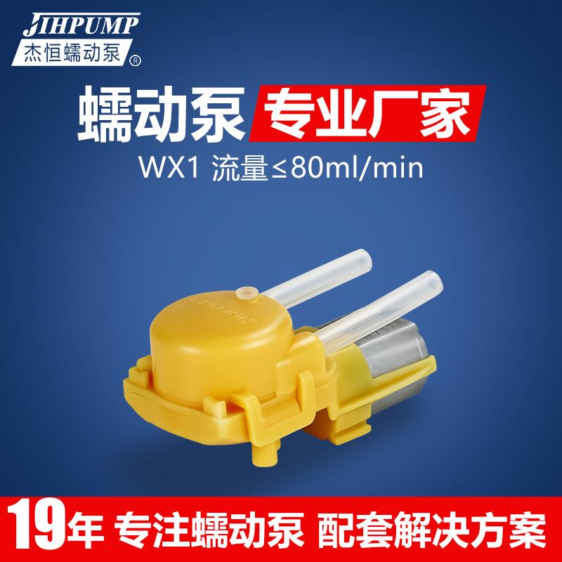 杰恒WX1民用微型蠕动泵自吸循环液体计量泵微量滴定蠕动泵