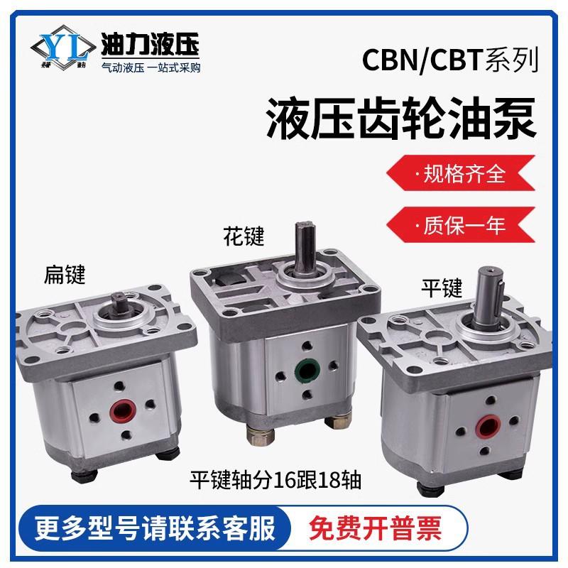 液压齿轮泵CBW/CBT/CBN-E/F304液压系统电机油泵