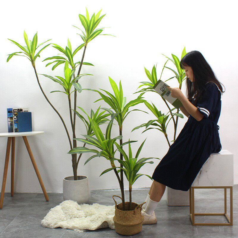 仿真巴西铁绿植盆栽室内橱窗植物巴西木仿生装饰摆件大型盆栽