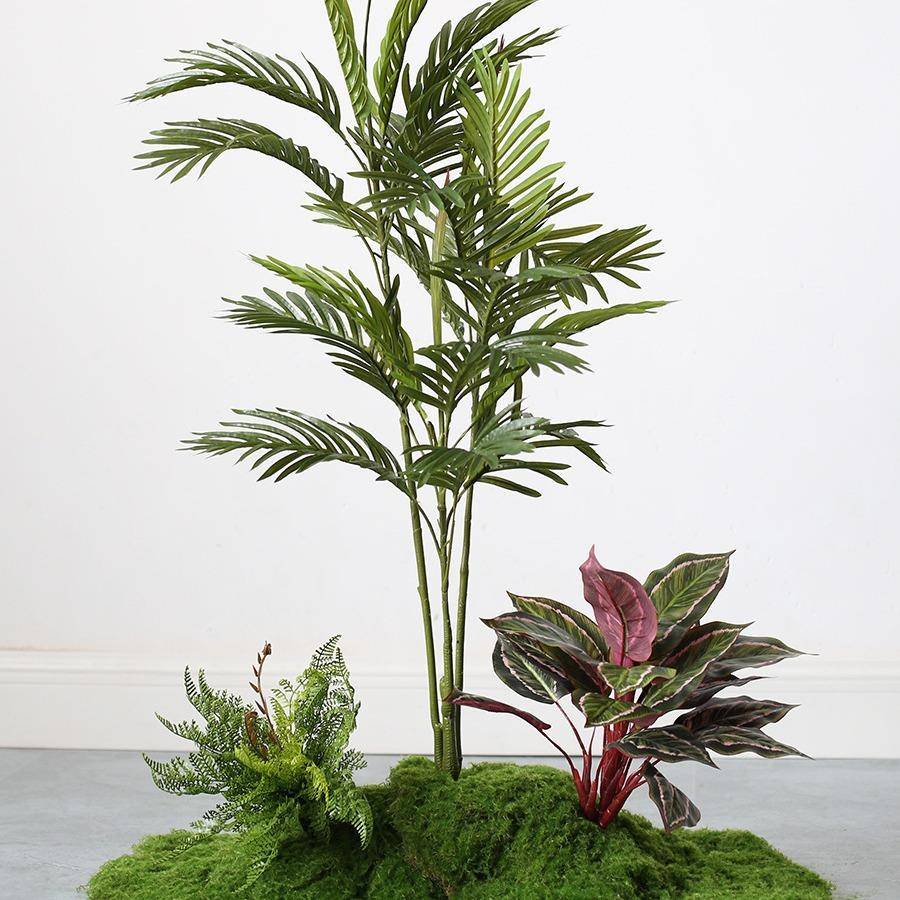 仿景真绿植苔微景观组合植室内藓客厅软装假物造橱窗过道tb-75515