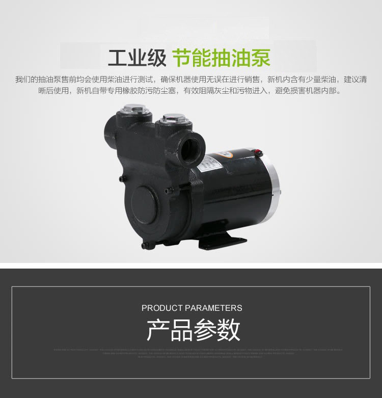 柏芮特车载静音加油泵交流直流自吸泵12v24v220V加油站柴油抽油泵