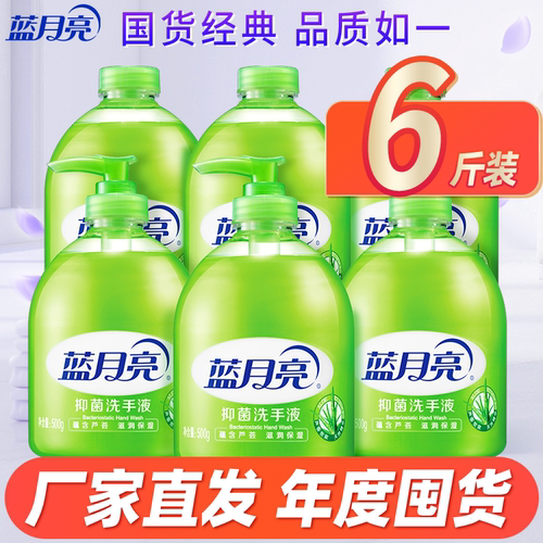 蓝月亮芦荟清香洗手液500g手洗家用儿童绿色大瓶装不伤手家用正品
