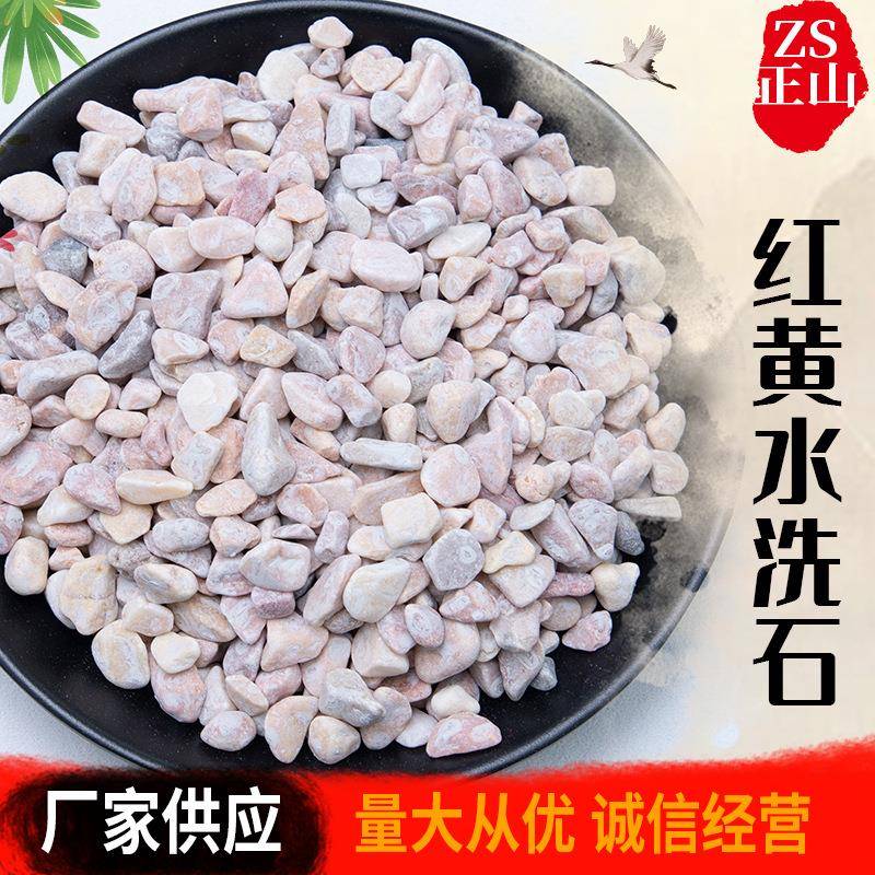 红黄水洗石多肉盆栽铺面园林造景彩色小石子庭院造景洗米石