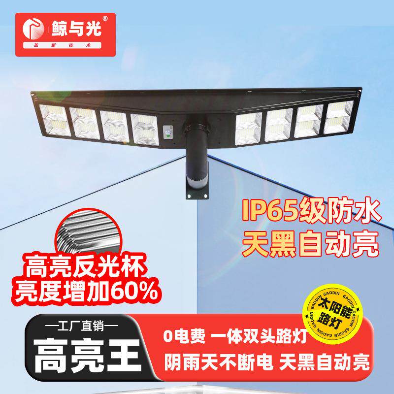 户外灯一体化庭院小区公园别墅景观灯LED高杆路灯人体感应