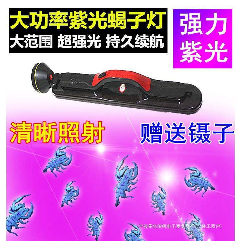 蝎子灯养殖紫光手电筒蝎子用豆虫强光充电手提000米照明灯