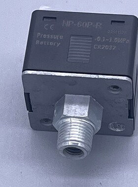高精度数显表数字压力表NP-60P-R P60P-F1最小0.001MPa 纽扣电池