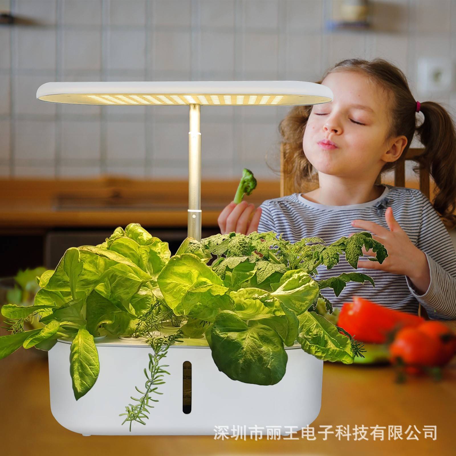跨境植物种植机智能无土水培植物灯蔬菜瓜果全光谱水培生长机