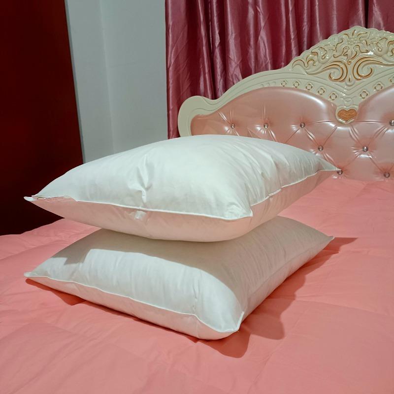 厂家直供家用出口酒店民宿羽绒枕芯枕头抱枕芯白鸭绒靠垫