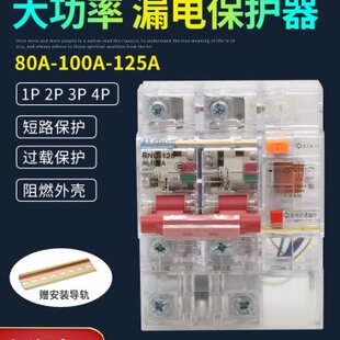 DZ47LE/RNCLE-125漏电保护器80A 100A 小型断路器 2P3P4P空气开关