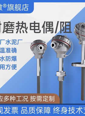耐磨热电偶WRNN-130 WRNM-330 电厂水泥厂水泥窑垃圾焚烧炉防腐