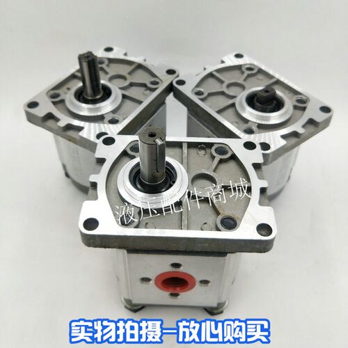 齿轮泵CBN-F304/F306/F308/F310/F312/F314/F316/F318/F320/F325