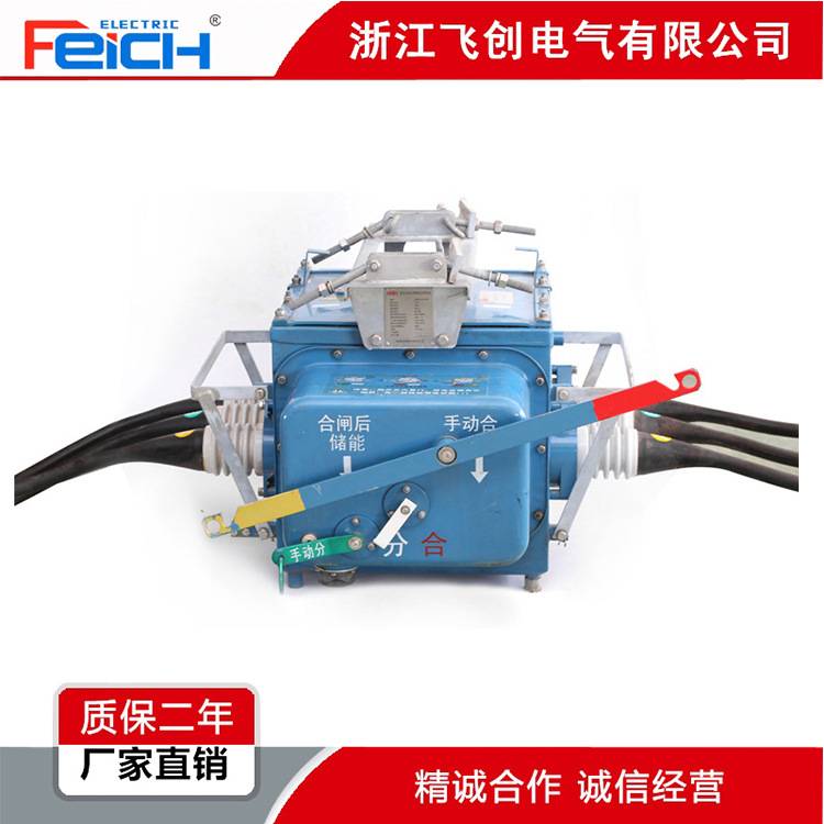 10kv户外高压真空断路器FZW28-12F/630智能分界开关FZW28 VSP5-12
