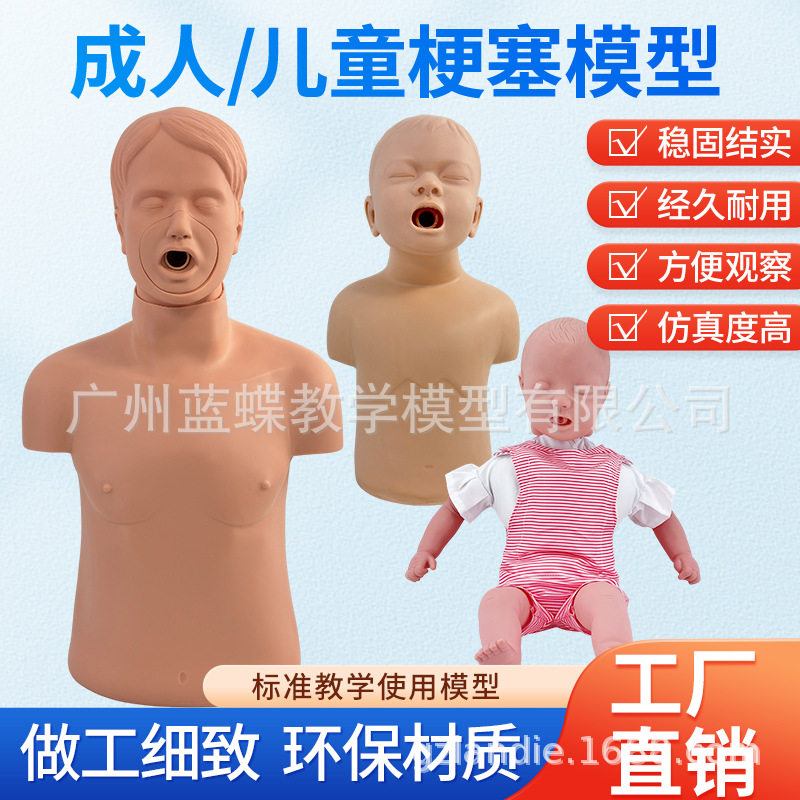 成人儿童婴儿梗塞模型 海姆立克急救训练 人体气管异物梗阻急救法