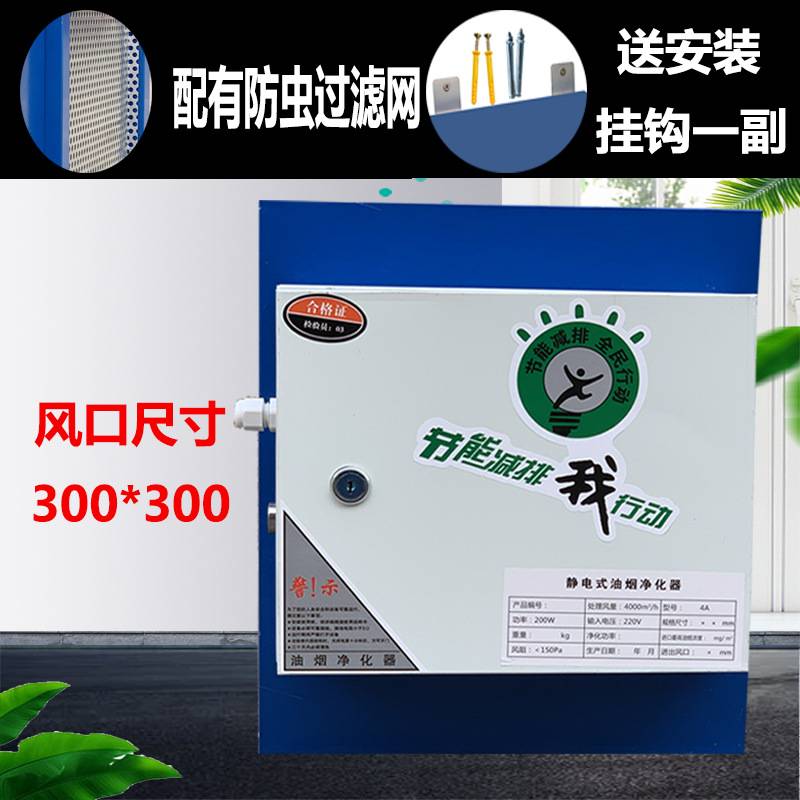 包邮油烟净化器4000风量小型饭店商用厨房餐饮静电式油烟分离器
