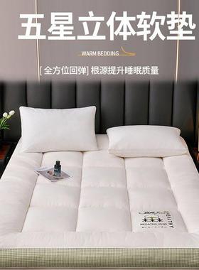 绣豆夫人A类大纤用维加厚立al745体床花垫软垫家学生宿舍单人通用