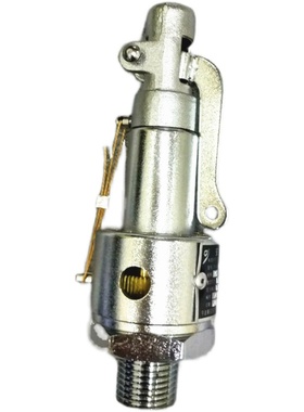 YAIA0.25/15 20 25宁波甬安安全阀 医疗器械灭菌锅弹簧微启安全阀