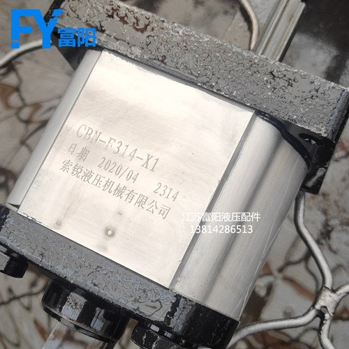 齿轮泵 液压油泵CBN-F310L CBN-F306L CBN-F320L F314L CBN-F316L
