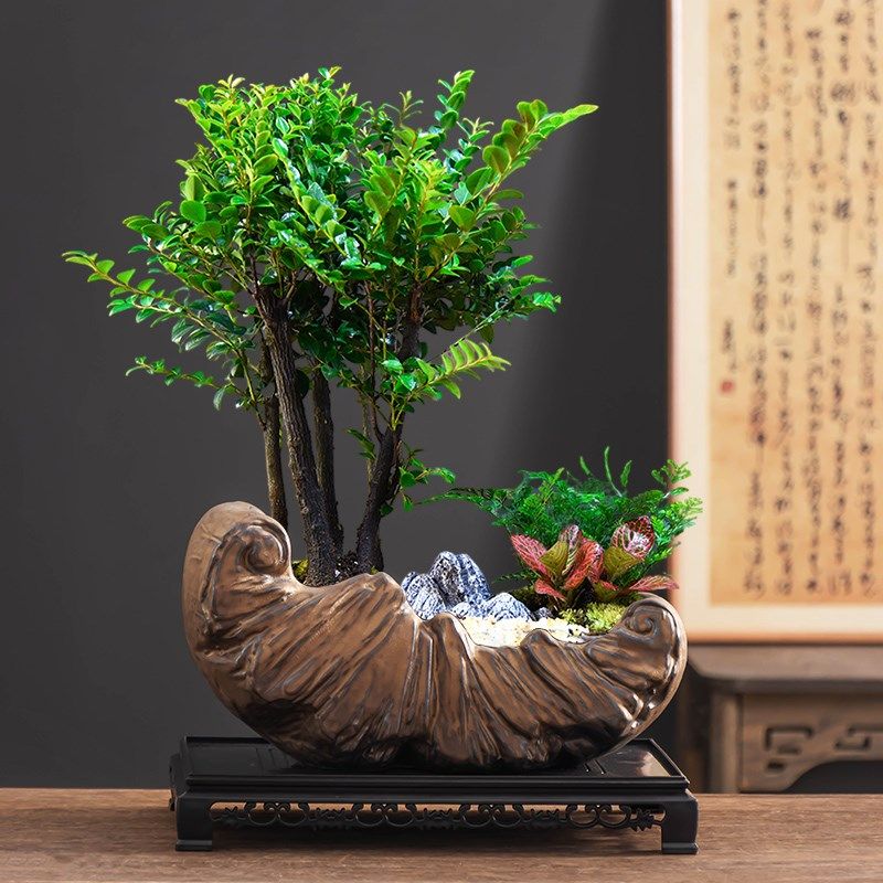 复古小叶紫檀造景盆陶瓷大口径家用透气绿植盆景盆桌面摆件带托盘,鲜花速递/花卉仿真/绿植园艺,花盆,淘宝优惠券,粉丝福利购,淘宝优惠卷
