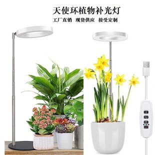 室内植物光照灯红蓝光大棚植物灯光合作用火龙果T草莓灯植物养护