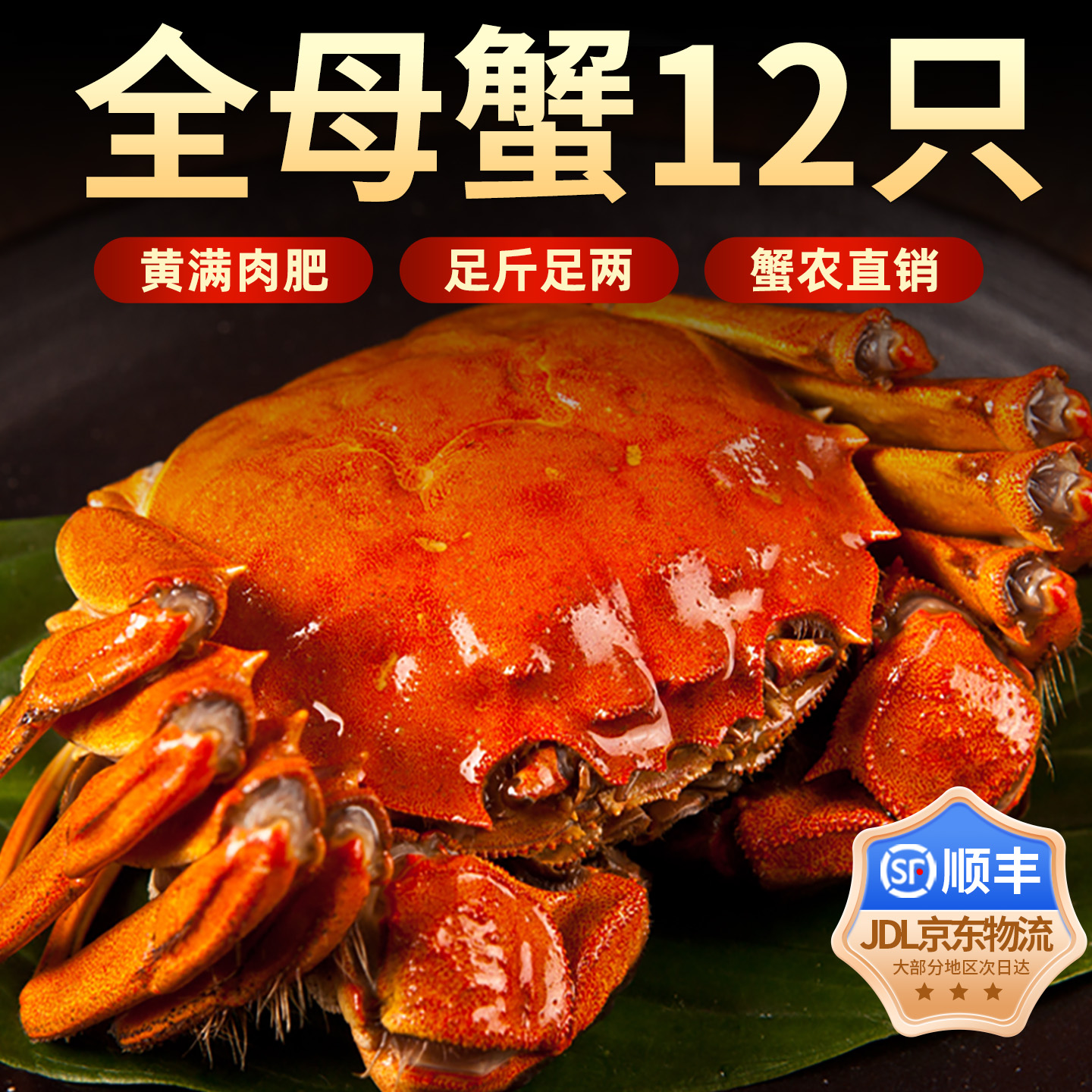 苏州大闸蟹鲜活全母3.8两12只