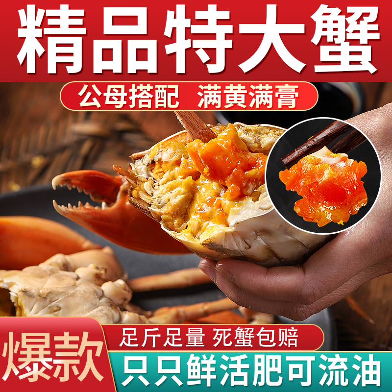 苏州大闸蟹鲜活全母2.5-2.812只