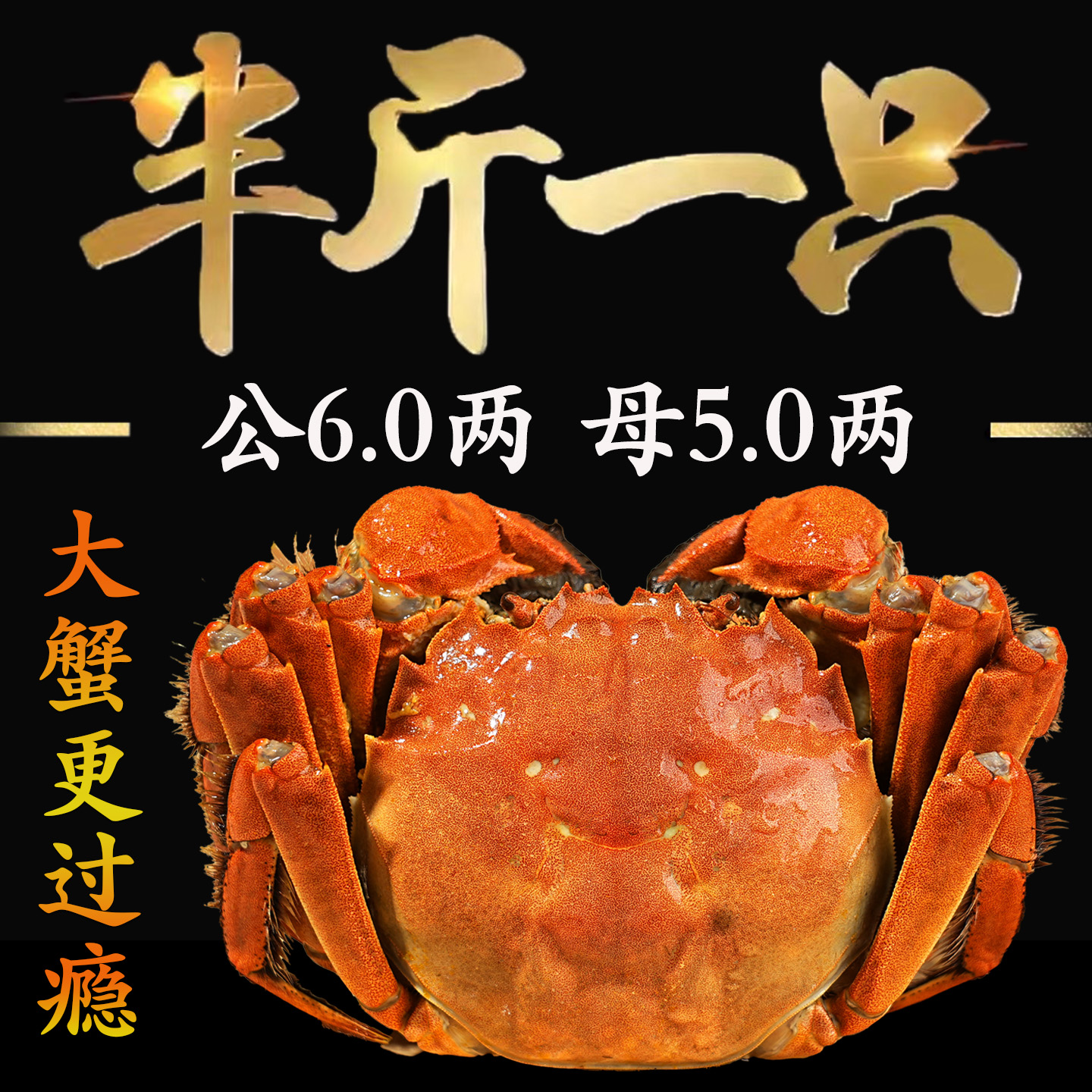 【特大活蟹】大闸蟹鲜活螃蟹全母