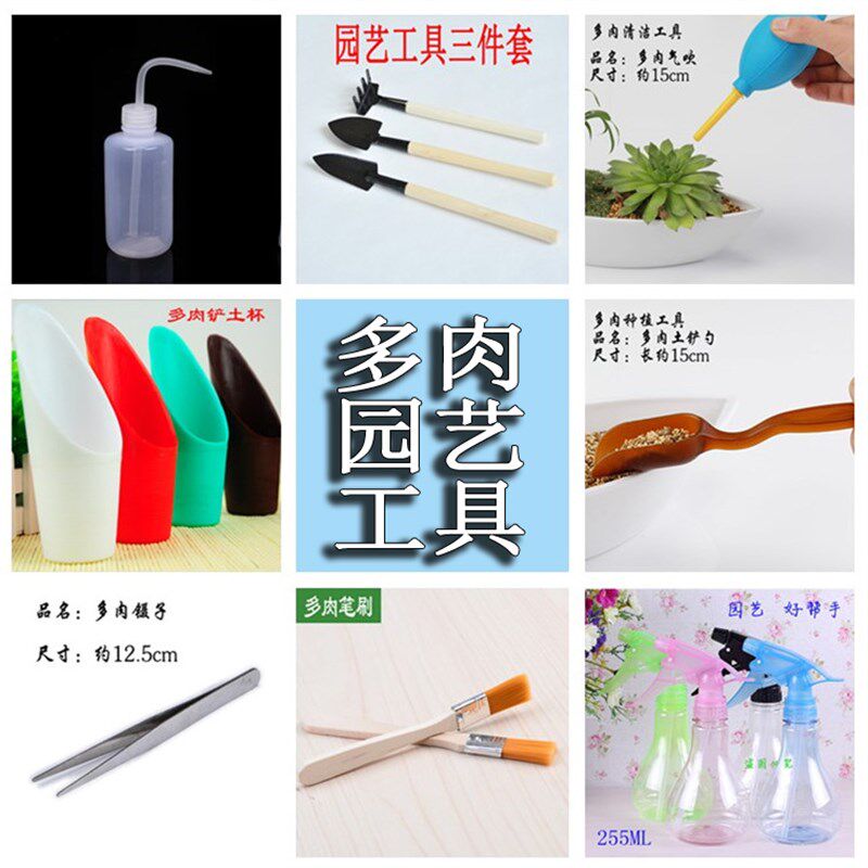 园艺用品三件套装工具多肉盆栽喷雾器小喷壶铲子剪刀铁锹镊子