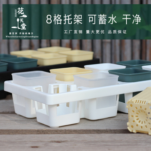 6cm多肉矮方盆控根8格托架组合生石花毛汉尼灯泡阳台精控养花盆