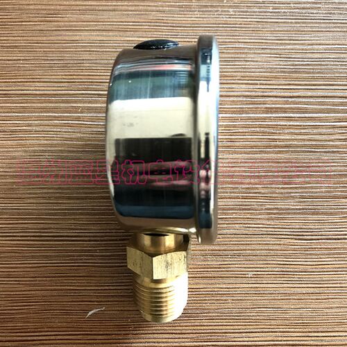 YN60耐震压力表 -0.1-0MPa 径向4分(R1/2)60mm直径充油
