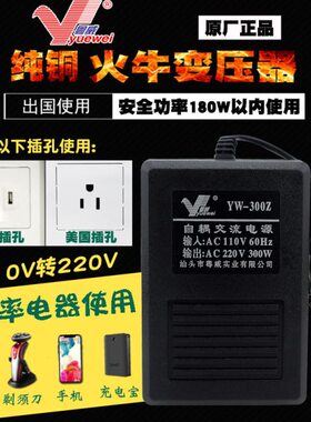粤威YW-300Z自耦交流电源变压器110V转变220V电压转换器300W出国