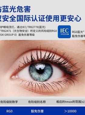 全显光谱高指长方形客厅超薄简吸顶灯无极频闪现代简约大厅893灯