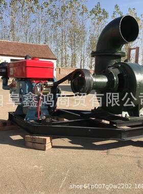 便携式柴油机水泵灌溉专属柴油机水泵  电启WJS柴油5马力1吸抽自