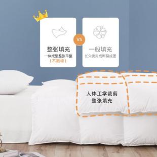 B01冬绒季 加毛九孔纤维被厚保暖秋磨冬双人被芯B01柔软亲肤羽丝被
