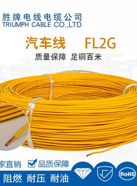 汽车线FL2G 300V 绝缘阻燃 足铜百米 耐压耐油 厂家直销 品质保障