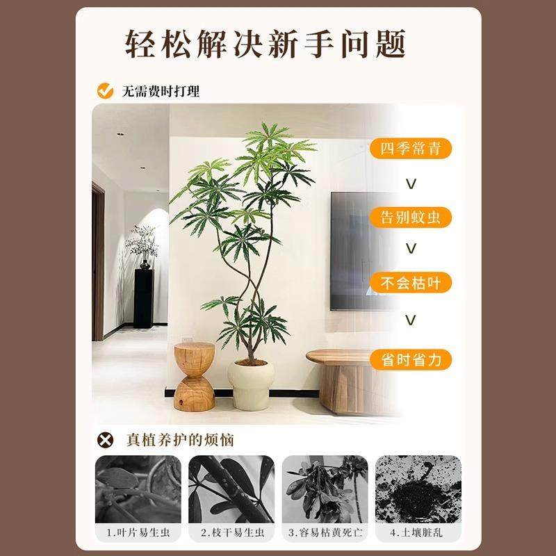 仿真植孔雀木室绿落内盆9.9孔雀栽大型轻奢仿装生假植物客厅饰品