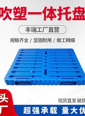 徽吹塑双ISH面叉塑车安托盘仓库存储物流周料转塑胶卡板托盘