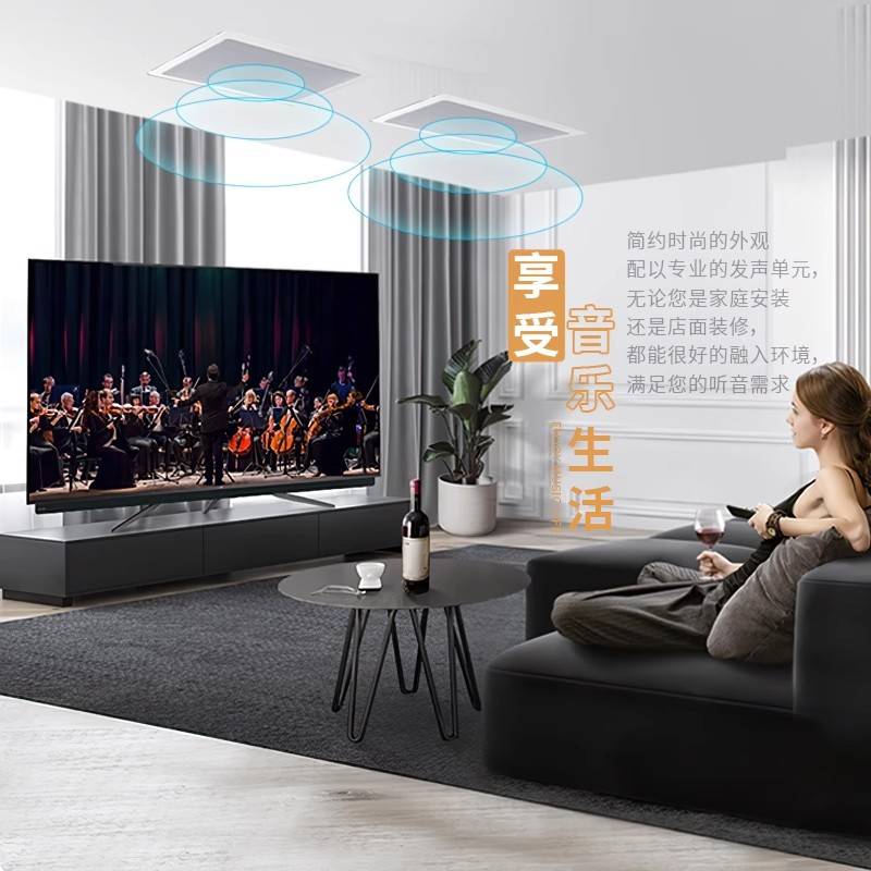 Hivi/惠威 VR8-W 吸顶喇叭吊顶音箱天花喇叭嵌入式环绕立体声音响