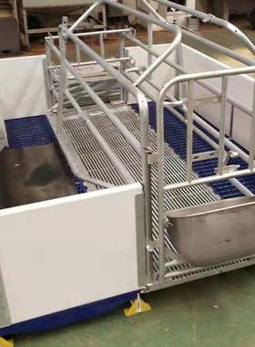 床热镀娩锌加厚2.5全欧KOJ式母猪产洛牧丰养殖场用母猪分床pvc隔