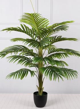 仿真散尾摆葵葵棕榈树OLF-天竺竺葵假植物假盆造栽客厅酒店装饰件