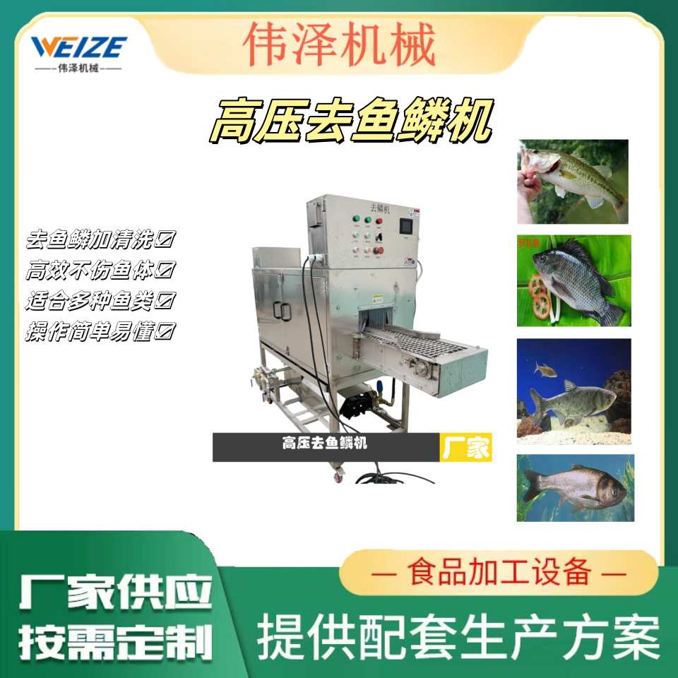 高压水自动去鱼鳞机器 连续式草鱼花鲢刮鱼鳞机商用