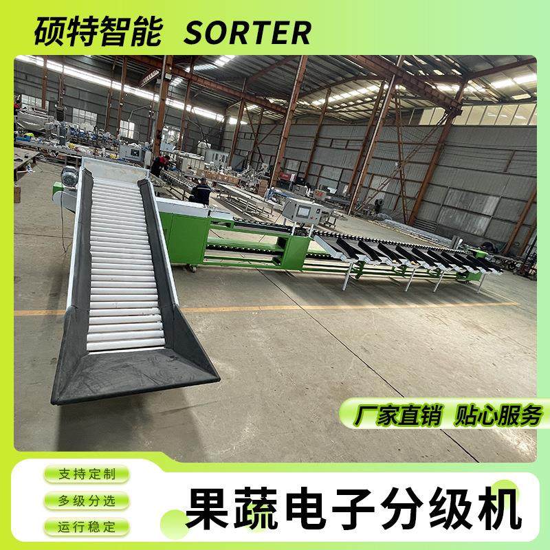 橙子清洗风干分选线 柑橘打蜡烘干称重分拣机 猕猴桃重量选果机,清洗/食品/商业设备,肉制品加工设备,淘宝优惠券,粉丝福利购,淘宝优惠卷