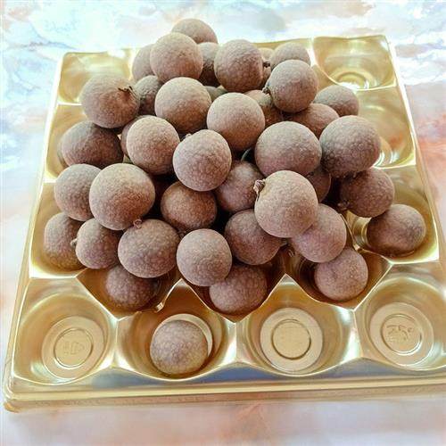 原质原味原生态高州带壳核桂圆干果纯正天然野生老树龙眼2024新果