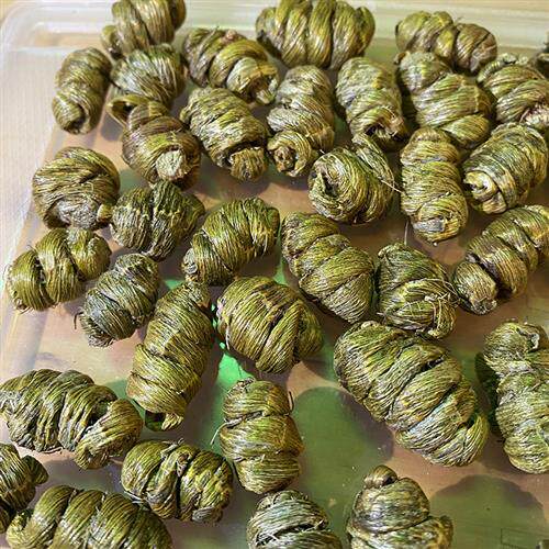 老魏云南特级铁皮石斛枫斗四年生正品中药材铁皮石斛干条鲜枫斗粉