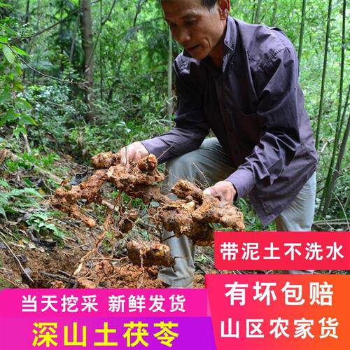 新鲜土茯苓2斤包邮粤北硬饭头整个农村深山土茯苓现挖现发土伏苓