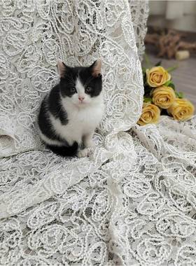 P1S70902PS170902蕾丝盘绳体绣花丝刺蕾绣立绣花